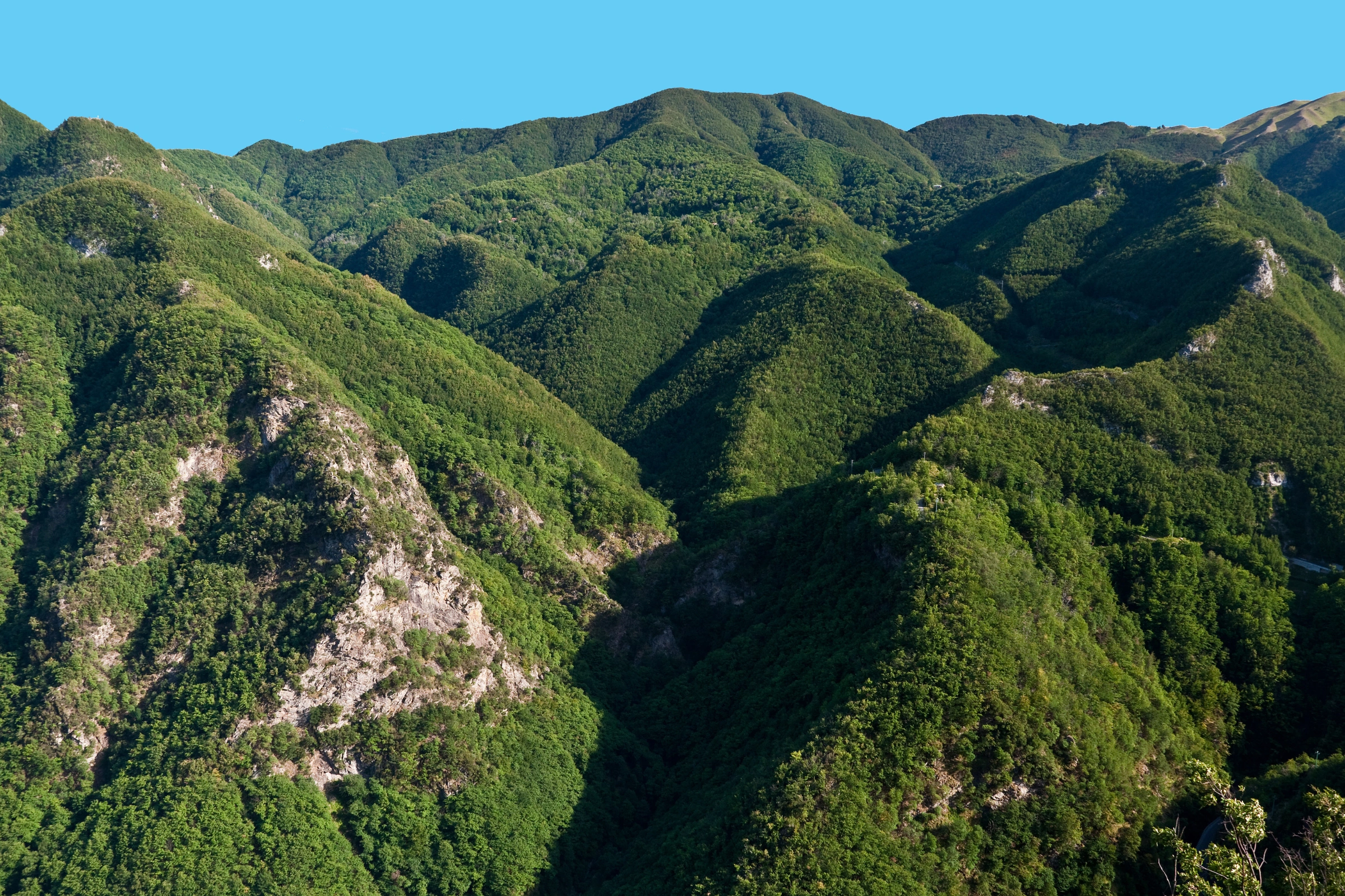 50_Fornovolasco[1].webp